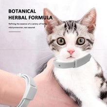 Load image into Gallery viewer, Adjustable Cat &amp; Dog Collar 3Month Flea &amp; Tick Prevention Collar Anti Flea Ticks Pest Control Protect Repel Rubber Necklace Pet
