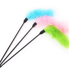 Load image into Gallery viewer, Cat Stick Premium Pet Interactive Toy Turkey Interactive Feather Toy Feathers Funny Supplies Tease Cat Stick Random Color
